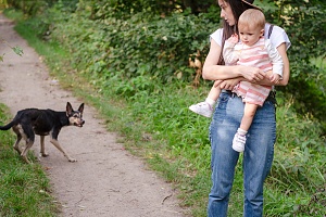 mother and child walking away from a violent dog