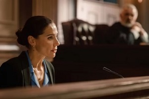 lawyer representing case in the court